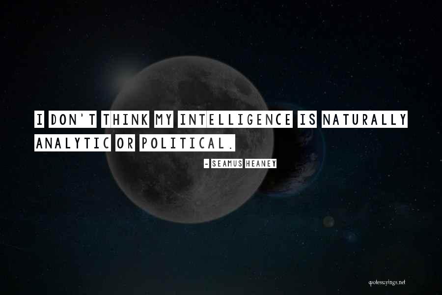 Shiism And Politics Quotes By Seamus Heaney Shiism And Politics Quotes By Seamus Heaney