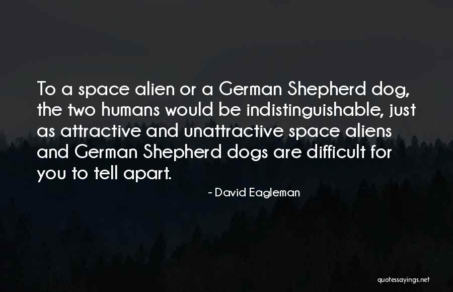 Shikoba Quotes By David Eagleman Shikoba Quotes By David Eagleman