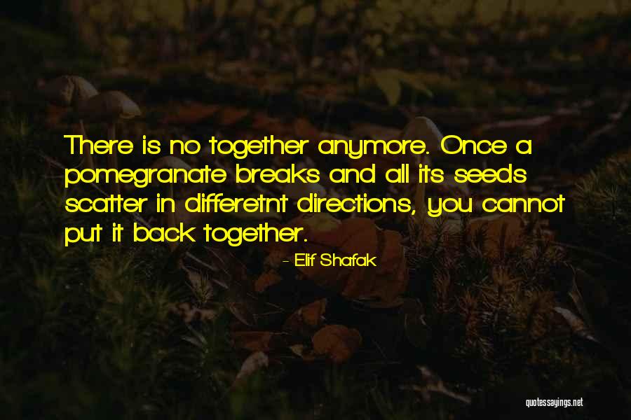 Shikse Quotes By Elif Shafak Shikse Quotes By Elif Shafak