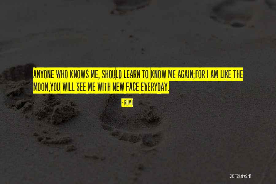 Shillaley Quotes By Rumi Shillaley Quotes By Rumi