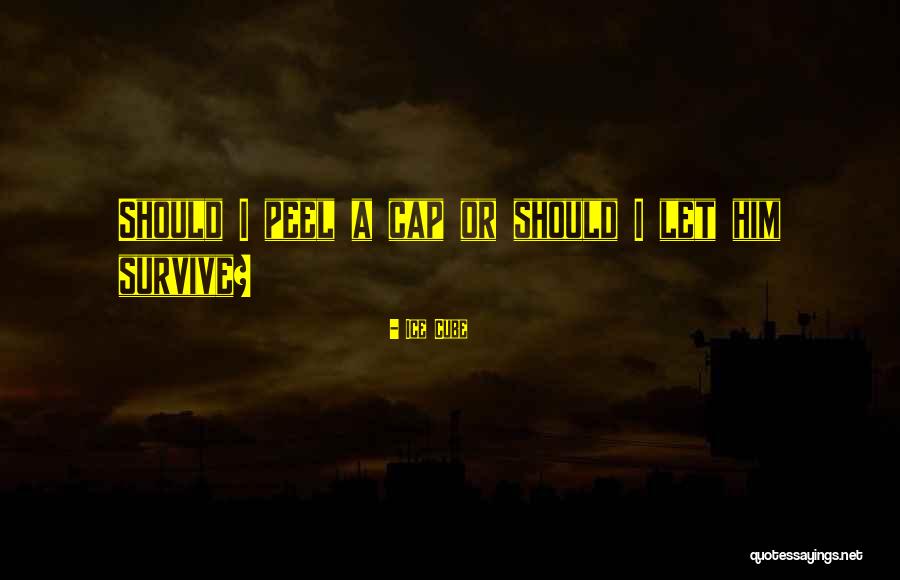 Shillelaghs And Shamrocks Quotes By Ice Cube Shillelaghs And Shamrocks Quotes By Ice Cube