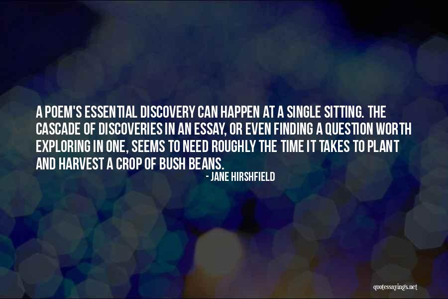 Shiller Learning Quotes By Jane Hirshfield Shiller Learning Quotes By Jane Hirshfield