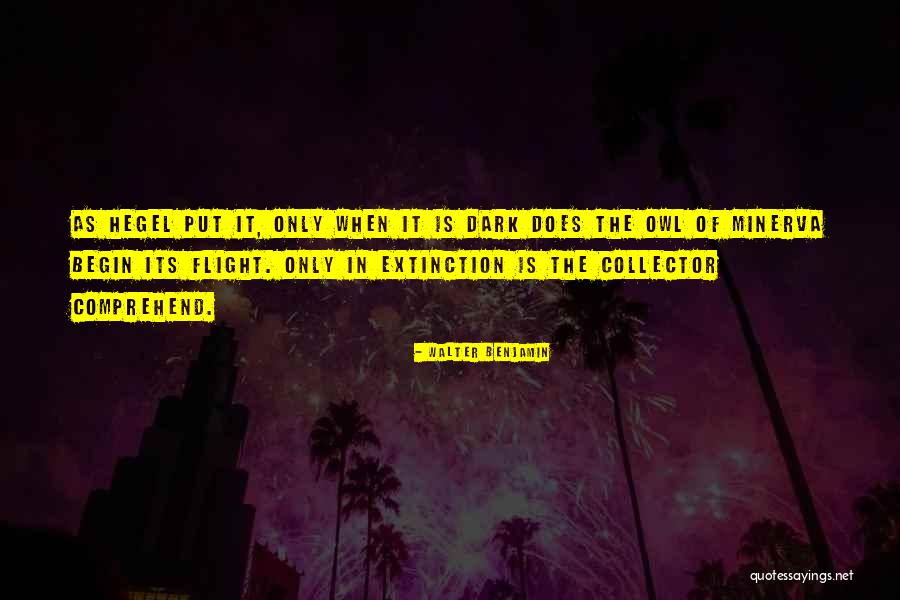 Shilstone House Quotes By Walter Benjamin Shilstone House Quotes By Walter Benjamin