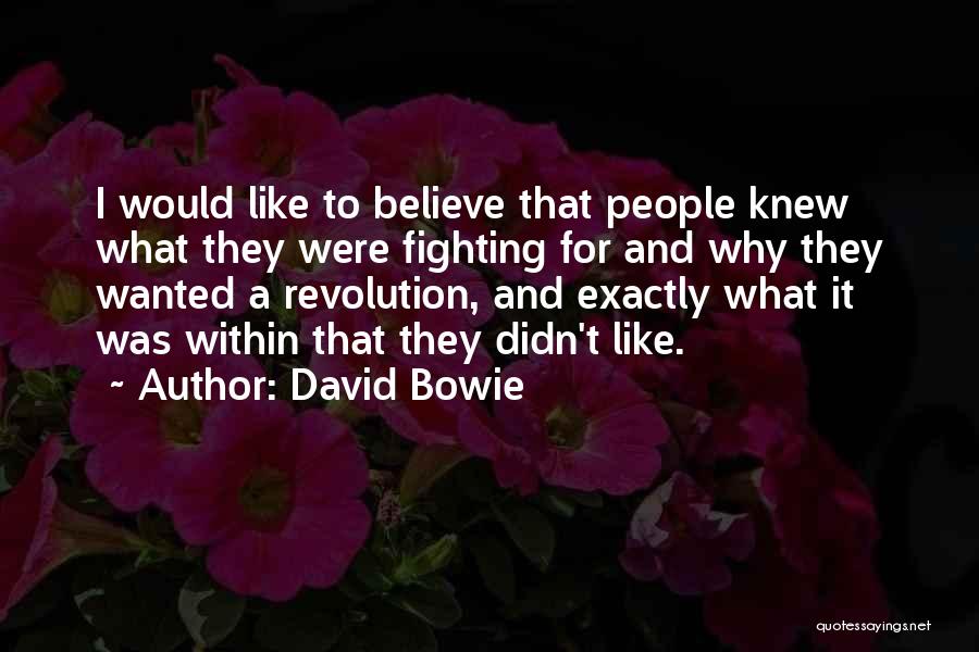 Shilstone Testing Quotes By David Bowie