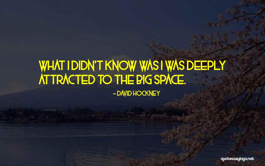 Shimbashi Del Quotes By David Hockney Shimbashi Del Quotes By David Hockney