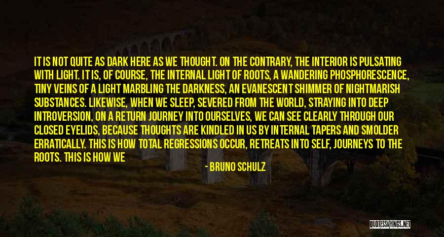 Shimmer Day Quotes By Bruno Schulz Shimmer Day Quotes By Bruno Schulz