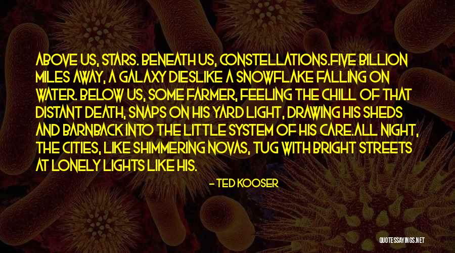Shimmering Lights Quotes By Ted Kooser Shimmering Lights Quotes By Ted Kooser