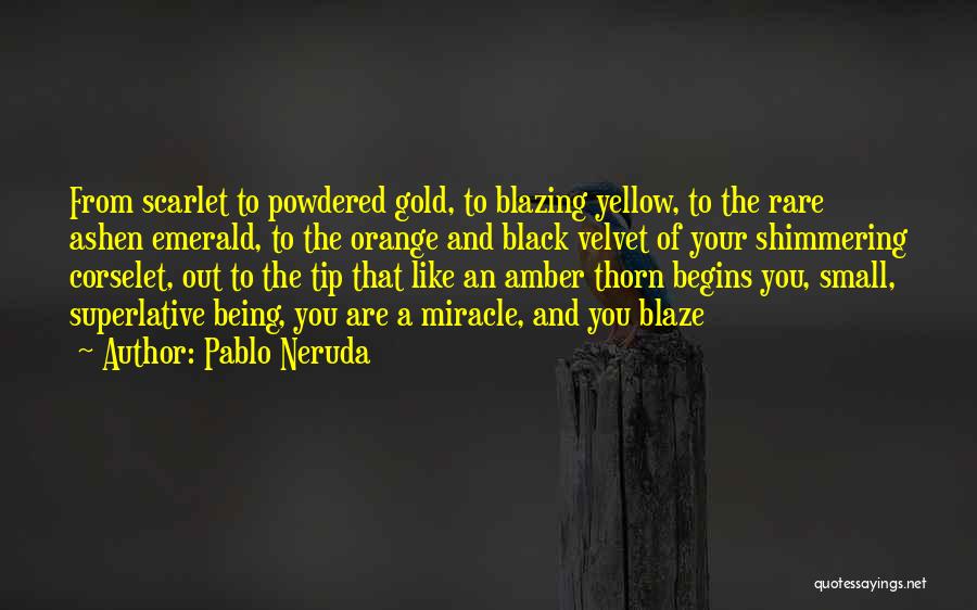Shimmering Quotes By Pablo Neruda