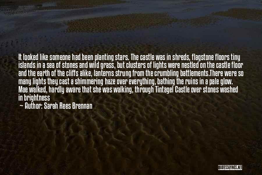 Shimmering Quotes By Sarah Rees Brennan