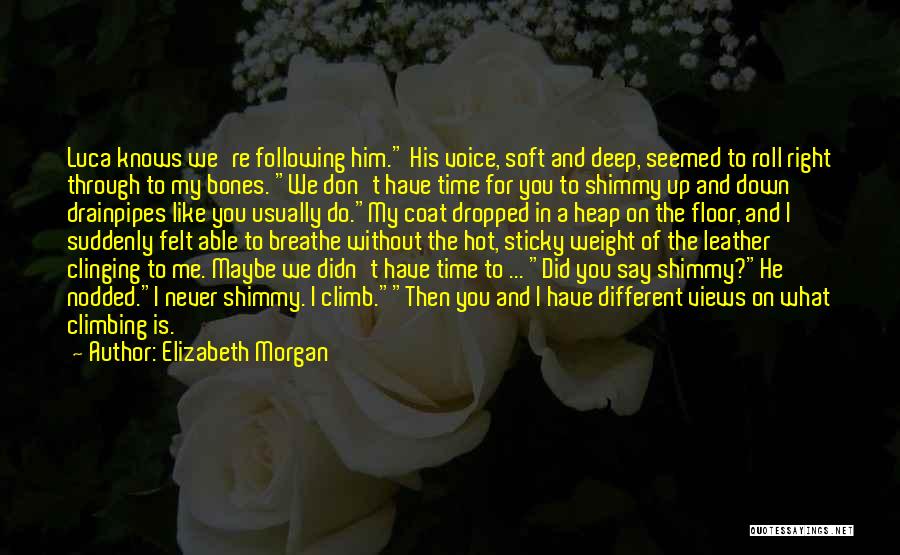 Shimmy Quotes By Elizabeth Morgan
