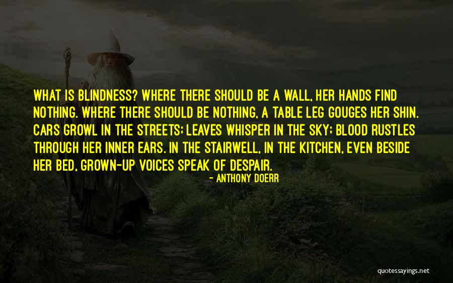 Shin Quotes By Anthony Doerr Shin Quotes By Anthony Doerr