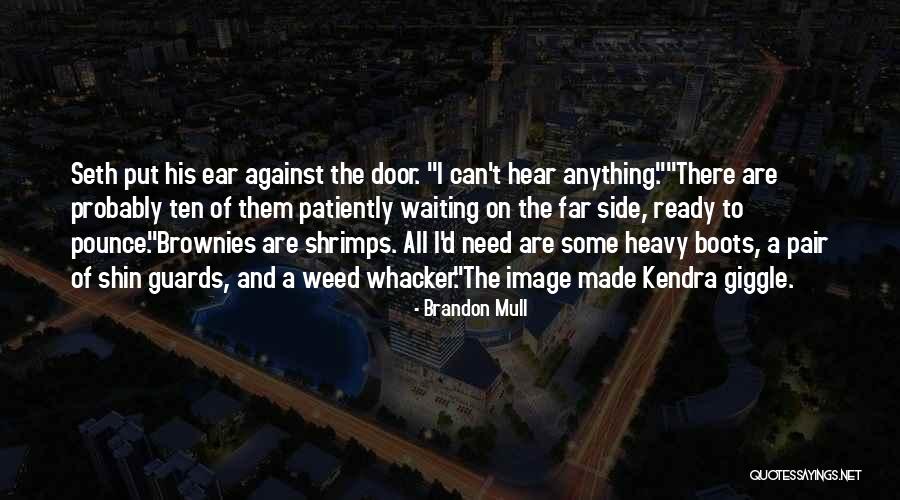 Shin Quotes By Brandon Mull Shin Quotes By Brandon Mull