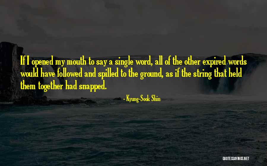 Shin Quotes By Kyung-Sook Shin Shin Quotes By Kyung-Sook Shin