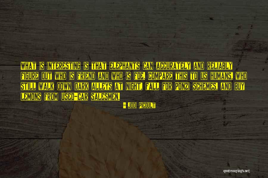 Shindeiru Quotes By Jodi Picoult Shindeiru Quotes By Jodi Picoult