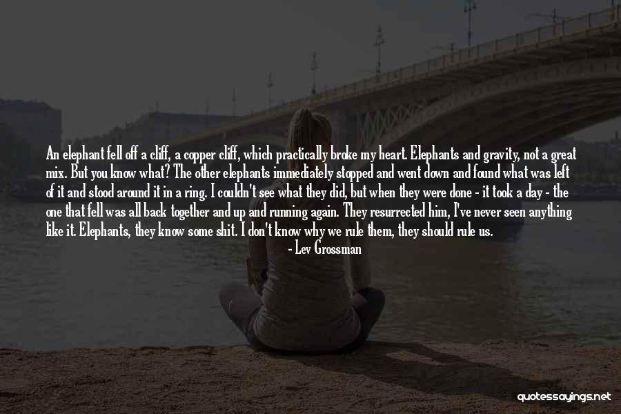 Shindong Marriage Quotes By Lev Grossman Shindong Marriage Quotes By Lev Grossman