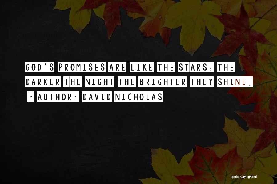 Shine Brighter Quotes By David Nicholas