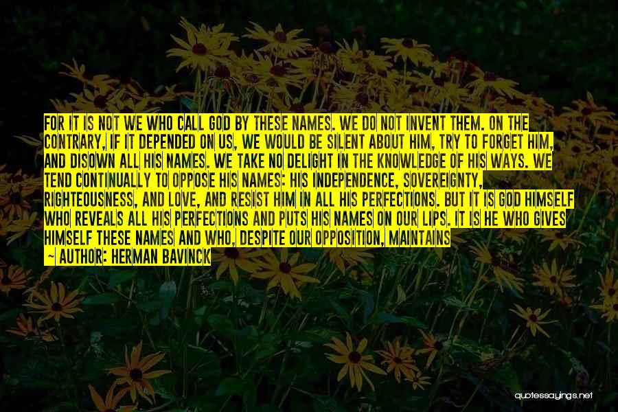 Shine Forehead Quotes By Herman Bavinck