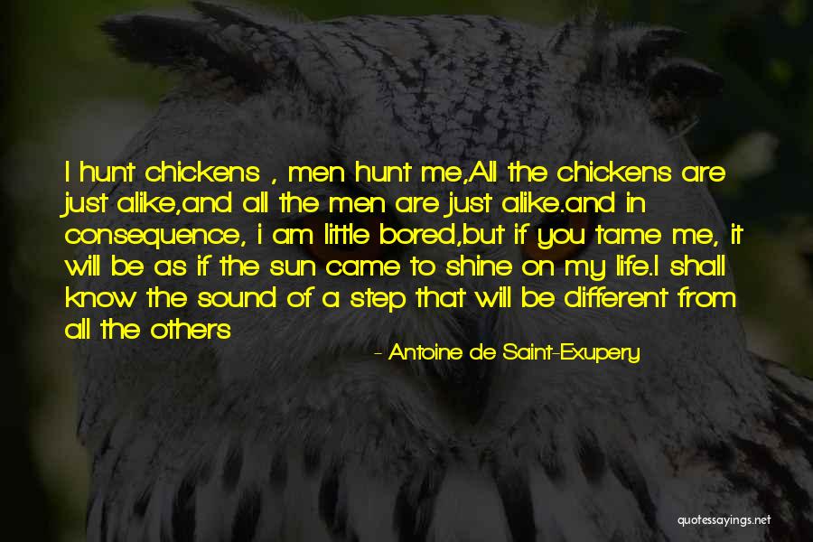 Shine In Life Quotes By Antoine De Saint-Exupery Shine In Life Quotes By Antoine De Saint-Exupery