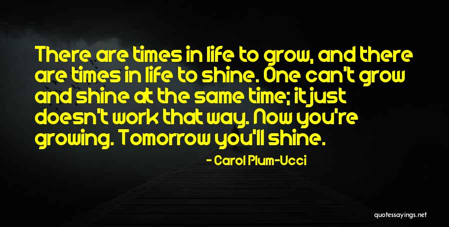 Shine In Life Quotes By Carol Plum-Ucci Shine In Life Quotes By Carol Plum-Ucci
