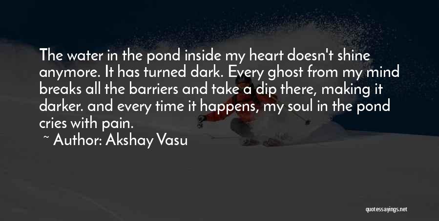 Shine In The Dark Quotes By Akshay Vasu