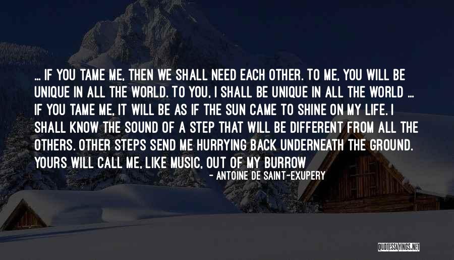Shine Like A Sun Quotes By Antoine De Saint-Exupery Shine Like A Sun Quotes By Antoine De Saint-Exupery