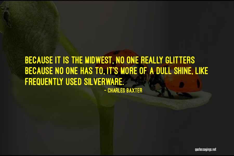 Shine Like Quotes By Charles Baxter Shine Like Quotes By Charles Baxter