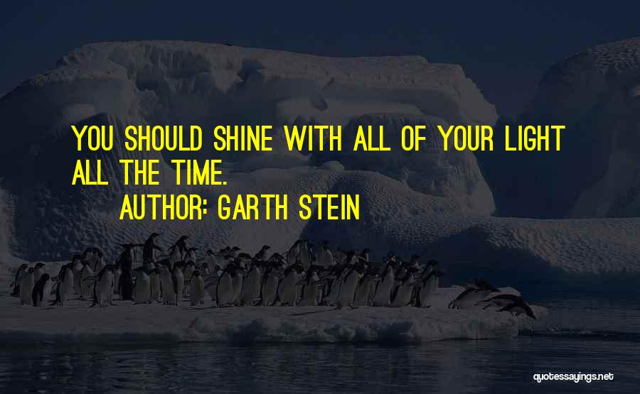 Shine Your Light Quotes By Garth Stein