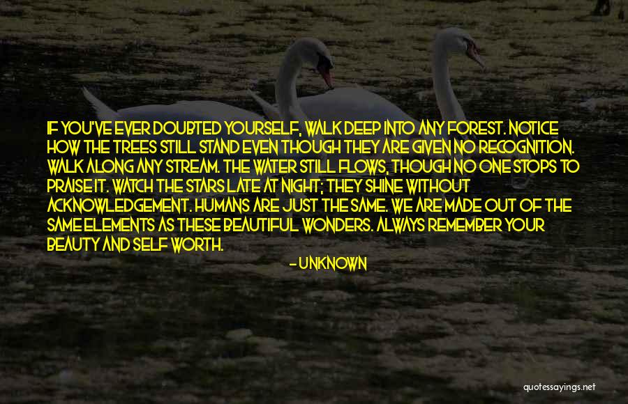 Shine Your Stars Quotes By Unknown Shine Your Stars Quotes By Unknown