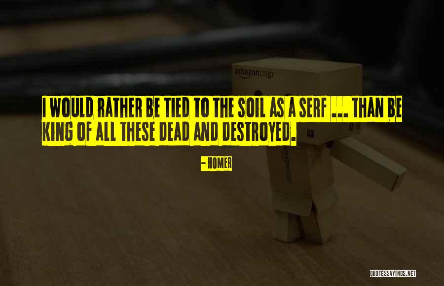 Shinewing Australia Quotes By Homer Shinewing Australia Quotes By Homer