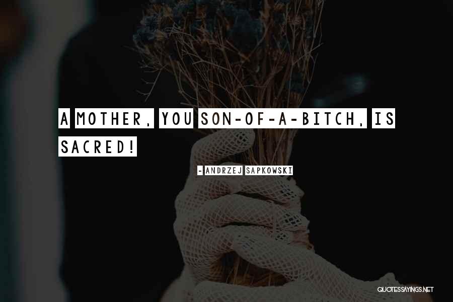 Shing02 Mixtape Quotes By Andrzej Sapkowski Shing02 Mixtape Quotes By Andrzej Sapkowski