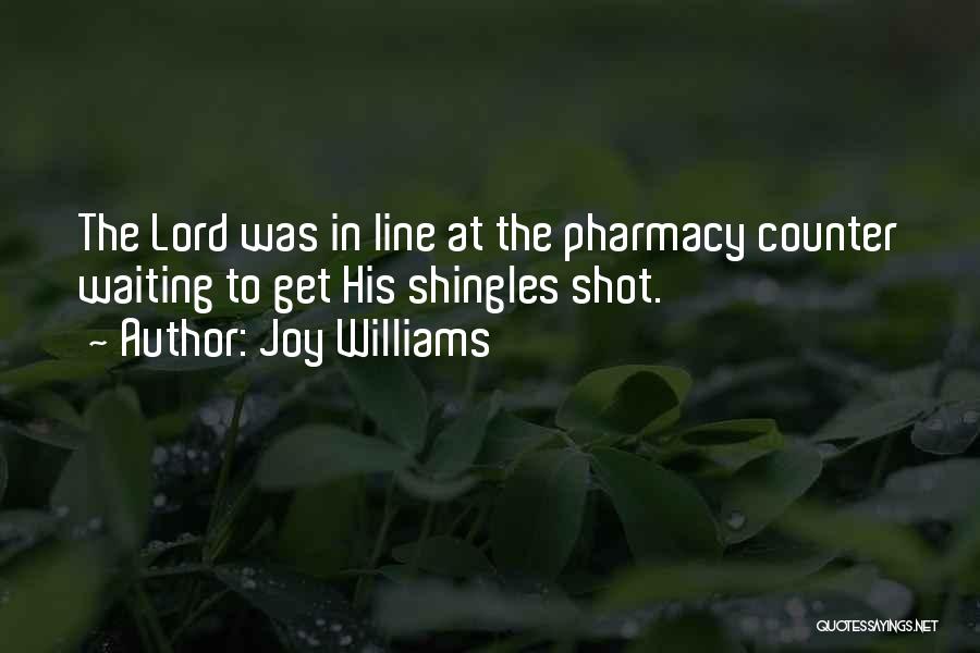 Shingles Quotes By Joy Williams