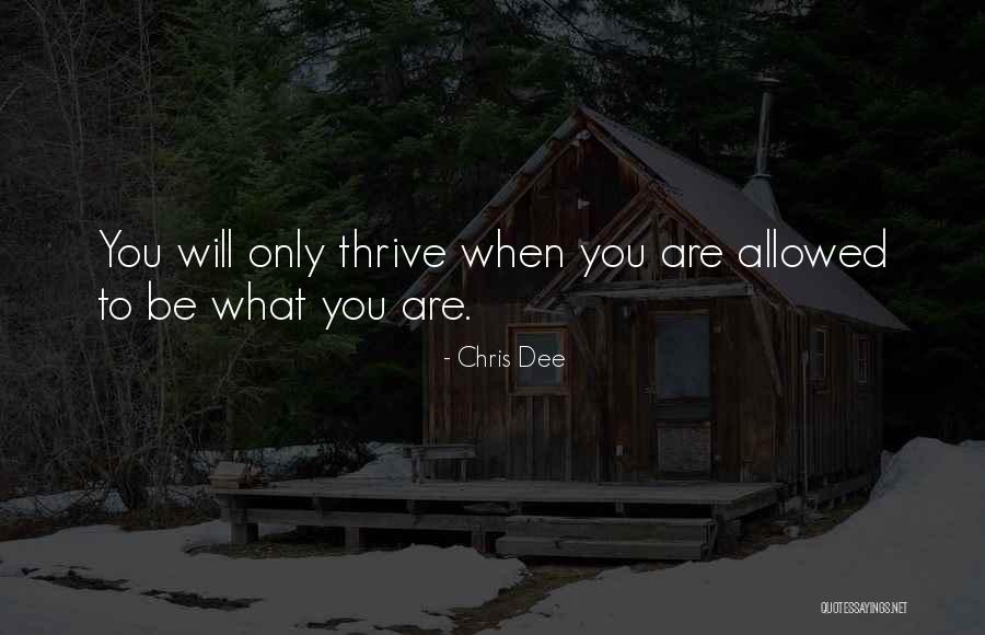 Shings Quotes By Chris Dee Shings Quotes By Chris Dee