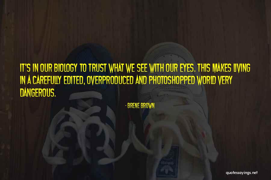 Shininess Due Quotes By Brene Brown Shininess Due Quotes By Brene Brown