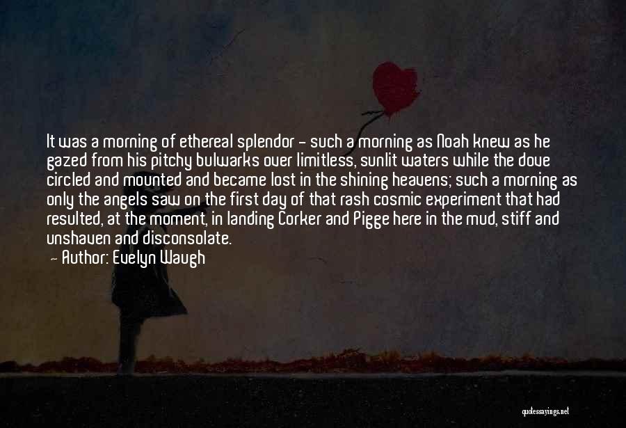 Shining Day Quotes By Evelyn Waugh