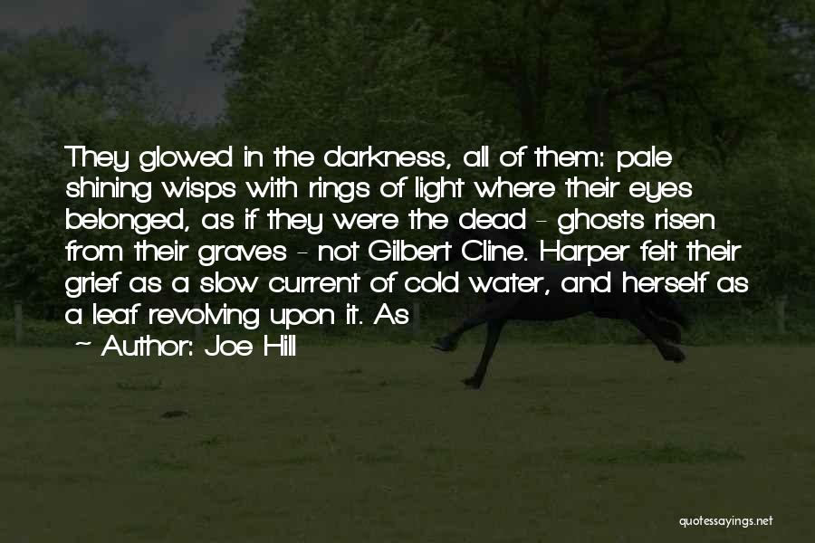 Shining Eyes Quotes By Joe Hill