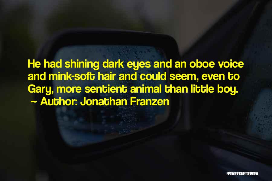Shining Eyes Quotes By Jonathan Franzen