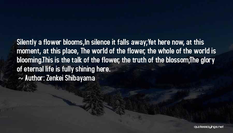 Shining In Life Quotes By Zenkei Shibayama