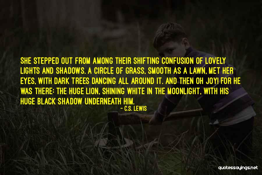 Shining In The Dark Quotes By C.S. Lewis Shining In The Dark Quotes By C.S. Lewis