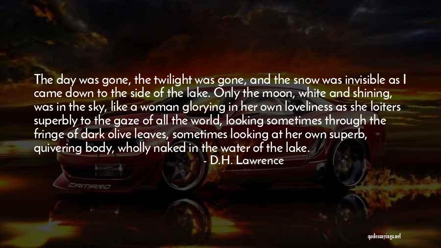 Shining In The Dark Quotes By D.H. Lawrence Shining In The Dark Quotes By D.H. Lawrence