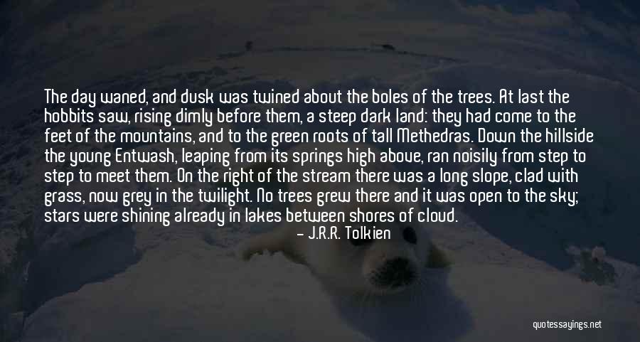 Shining In The Dark Quotes By J.R.R. Tolkien Shining In The Dark Quotes By J.R.R. Tolkien