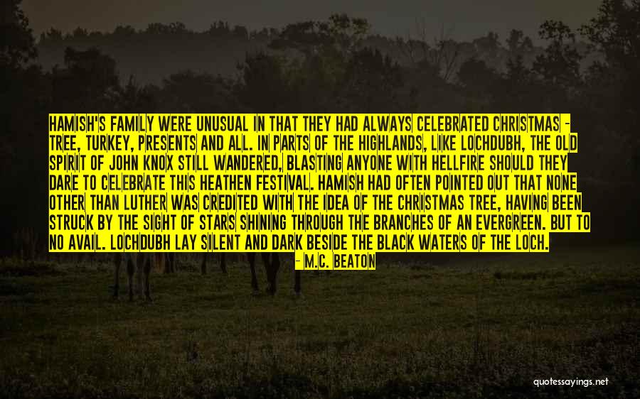Shining In The Dark Quotes By M.C. Beaton Shining In The Dark Quotes By M.C. Beaton