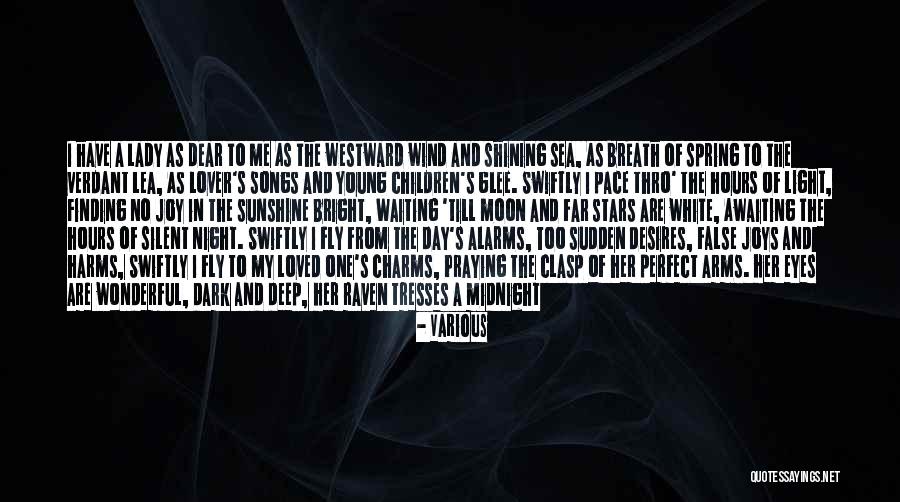 Shining In The Dark Quotes By Various Shining In The Dark Quotes By Various