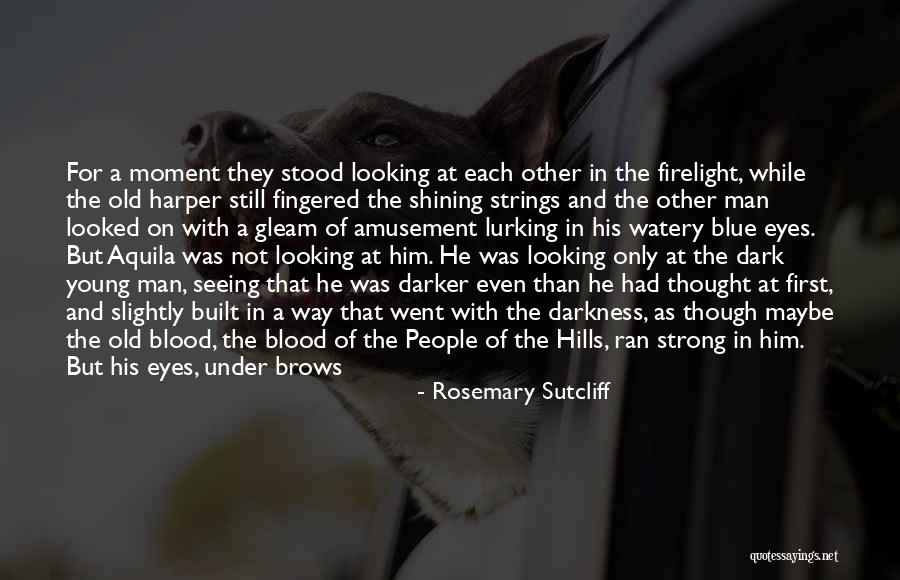 Shining In The Darkness Quotes By Rosemary Sutcliff Shining In The Darkness Quotes By Rosemary Sutcliff
