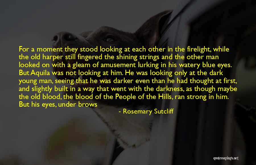 Shining Moment Quotes By Rosemary Sutcliff Shining Moment Quotes By Rosemary Sutcliff
