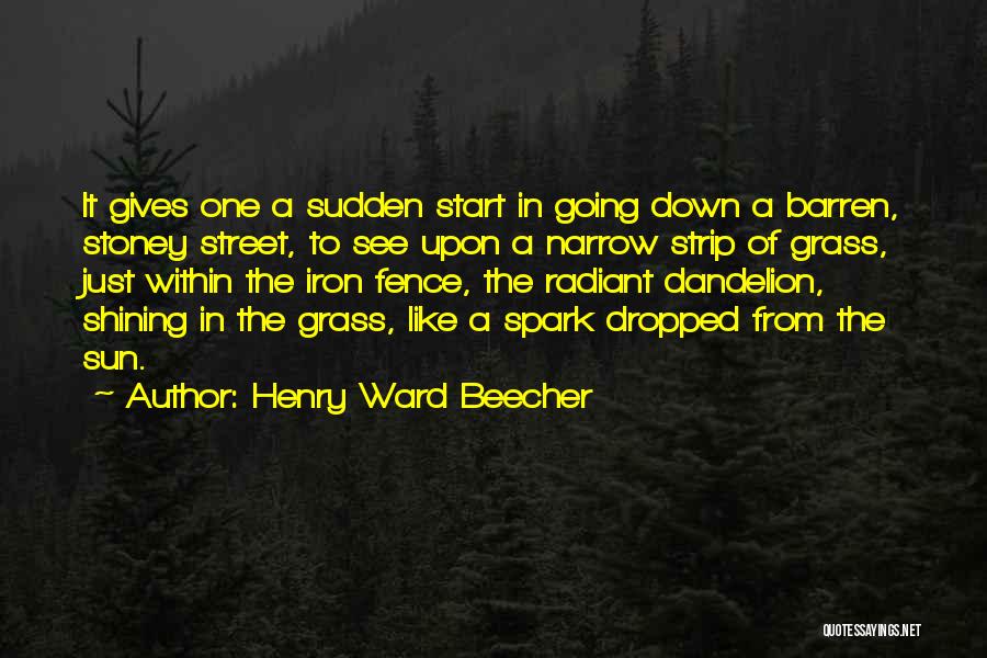 Shining Within Quotes By Henry Ward Beecher