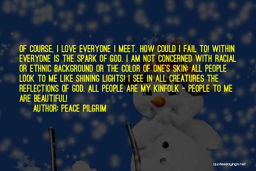 Shining Within Quotes By Peace Pilgrim