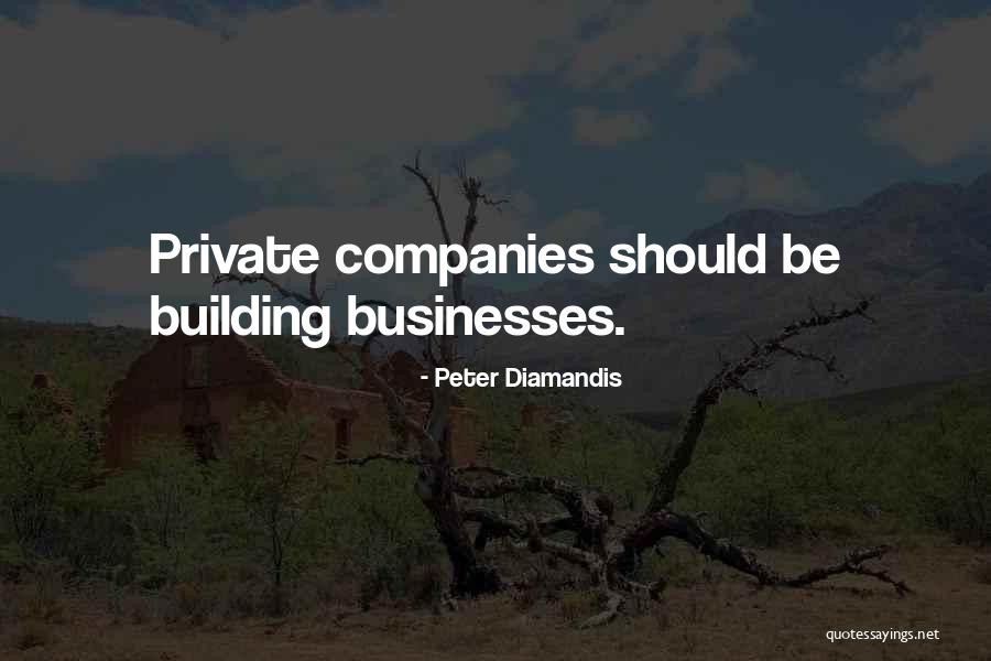 Shinkoda Sk 326h Quotes By Peter Diamandis Shinkoda Sk 326h Quotes By Peter Diamandis