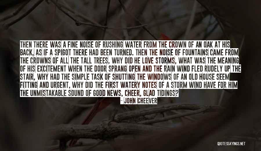 Shinoda Mariko Quotes By John Cheever Shinoda Mariko Quotes By John Cheever