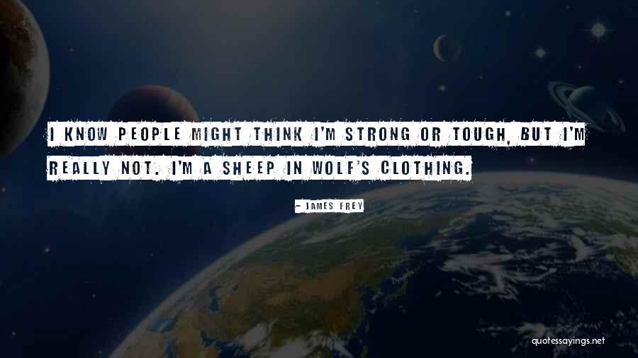Shinonome Akito Quotes By James Frey Shinonome Akito Quotes By James Frey