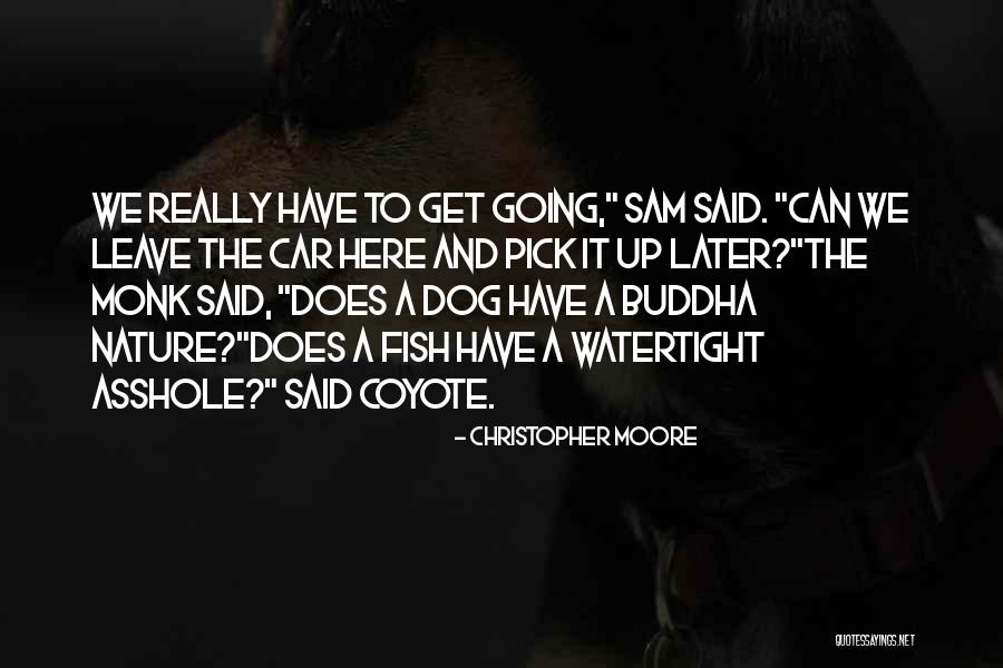 Shinpei Hayashiya Quotes By Christopher Moore Shinpei Hayashiya Quotes By Christopher Moore